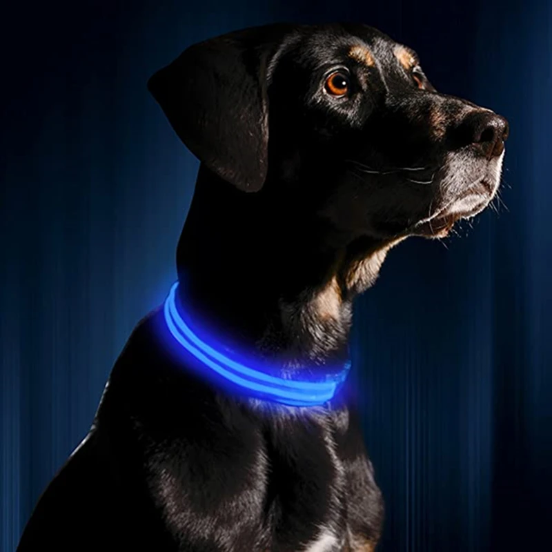 Usb Charging Led Dog Luminous Collars Adjustable Anti-Lost/Avoid Car Accident Night Light Safety Led Dogs Collar Pet Accessories