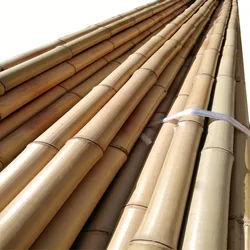 Bamboo Poles For Dragon Dance