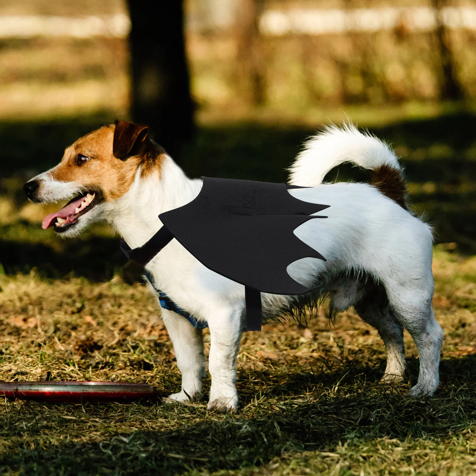 

Pet Leash Cat Chest Strap Rose Color Bat Wing Pull Rope Harness for Small Pets Halloween Outdoor Use