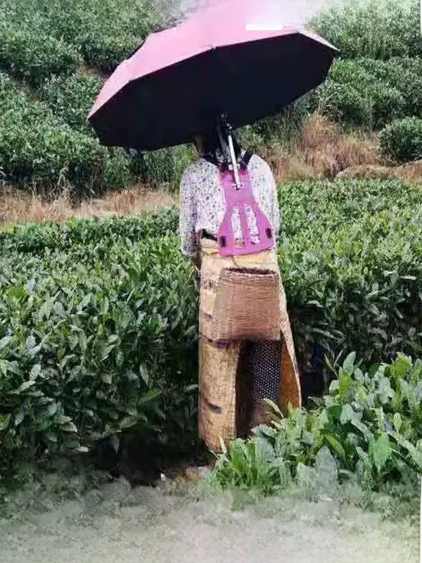 

Special Tea Farmer Musoom Tea Farming Sunade Umbrella Bla Glue Outdoor Sun Protection Fiing Hunting Windproof Manual ...
