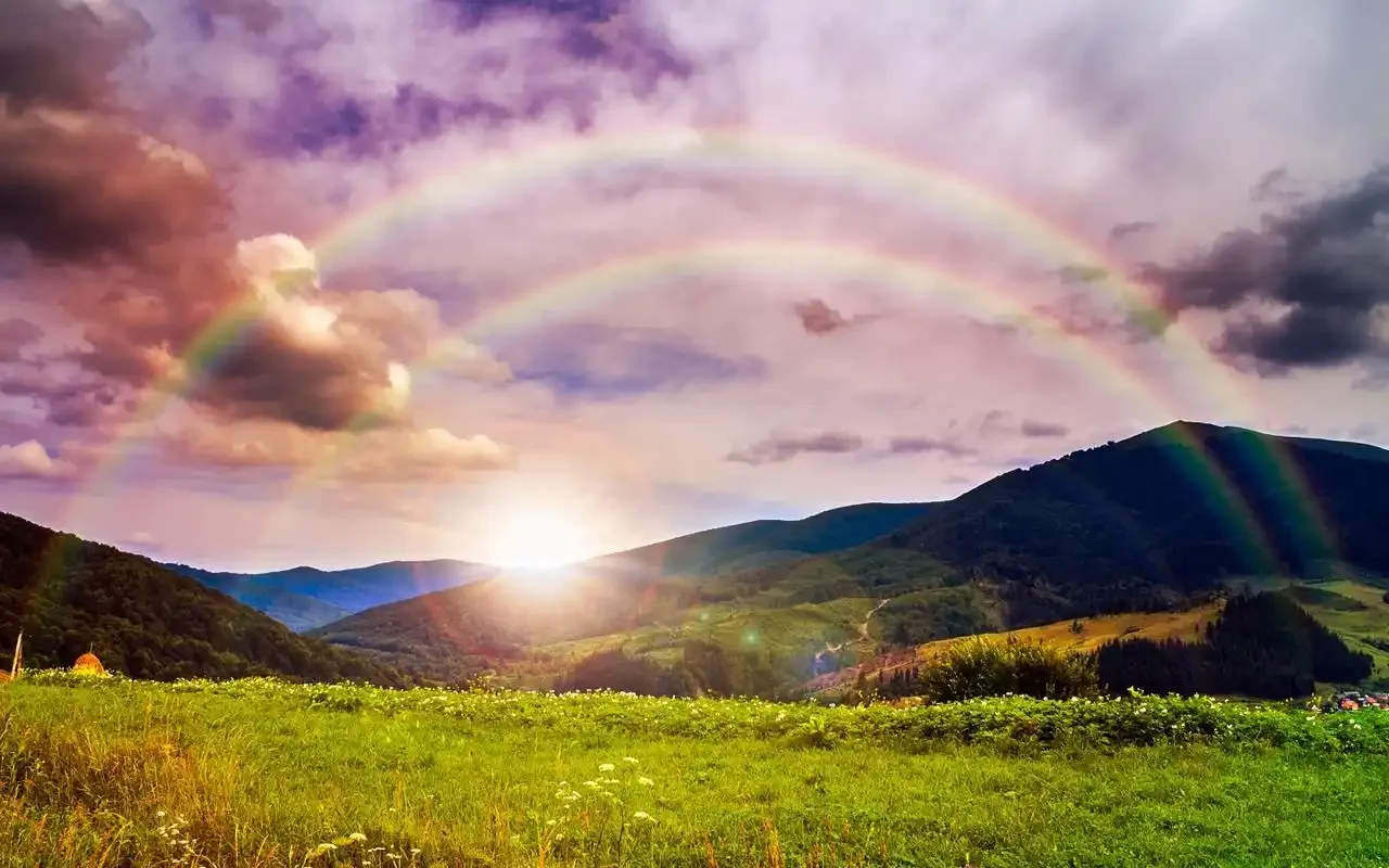 

Для Lexus ES300h 2013-2018 2.5L 2014 2015 2016 черная защитная пластина под двигателем, брызговик, крышка брызговика, защита от брызговика