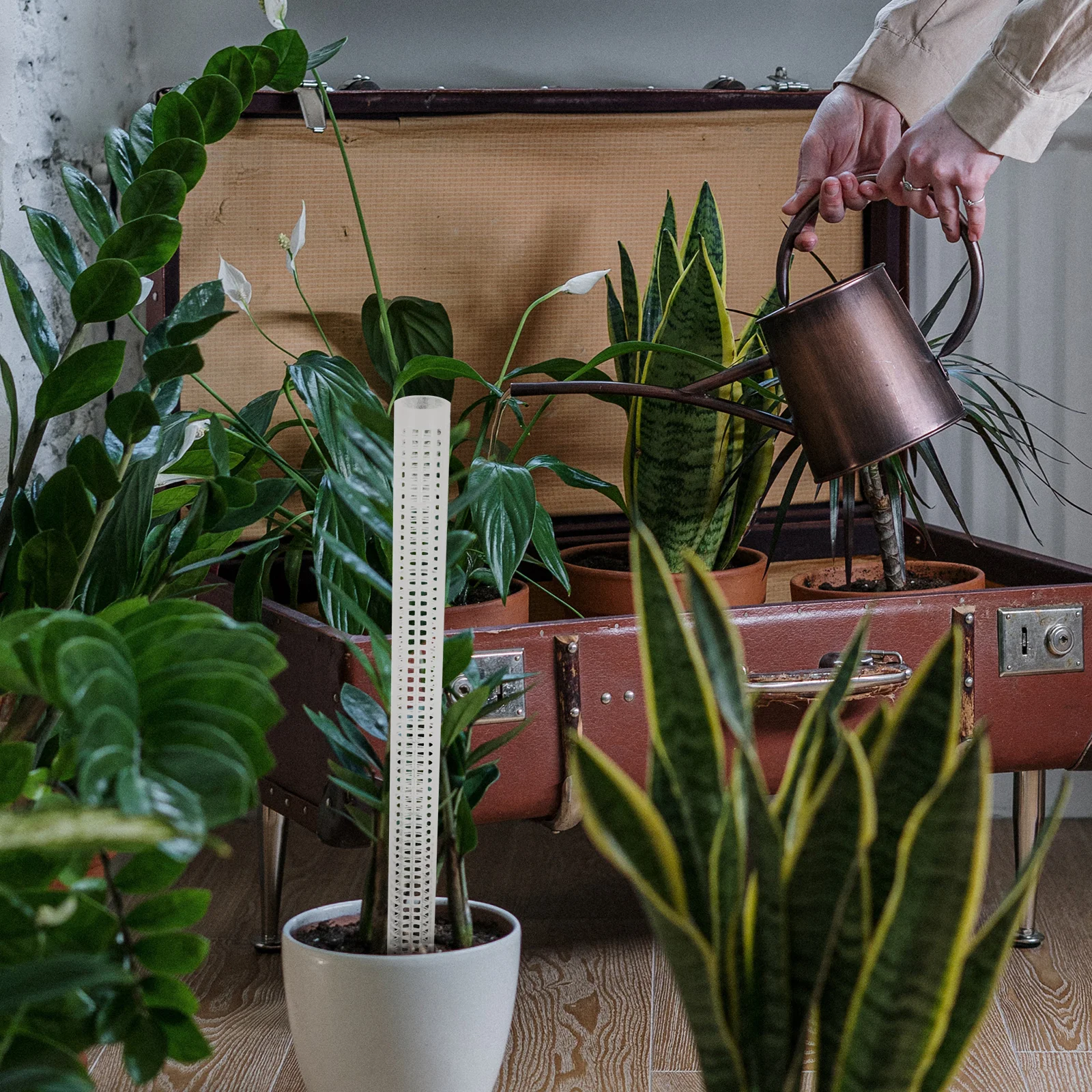 

2pcs Climbing Column Durable Reusable Safe Plant Climbing Tool Support Indoor Outdoor Hard Wear Plants Growth