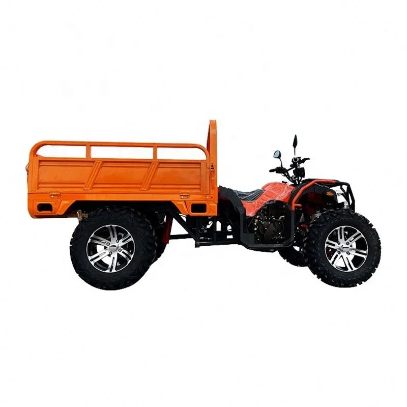 China Professional Manufacture Cheap Electric China 4X4 ATV