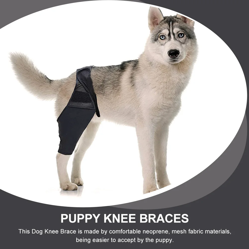 

Dog Leg Brace Pet Knee Pads Black S Size Neoprene Mesh Wide Strap Adjustable Guards Dog Supplies Pet Leg Stand