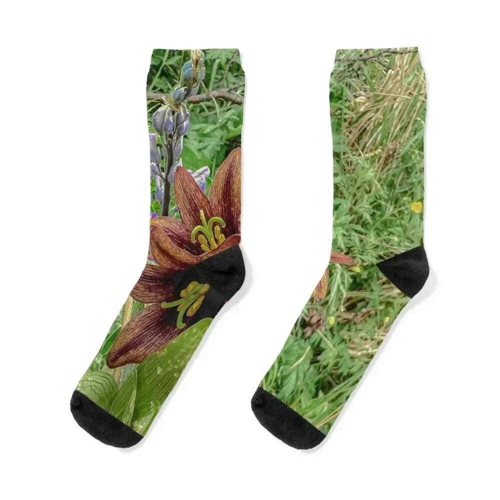 

AleutianLife June Blooms Chocolate Lily Socks Climbing luxury sports and leisure short Socks Woman Men's