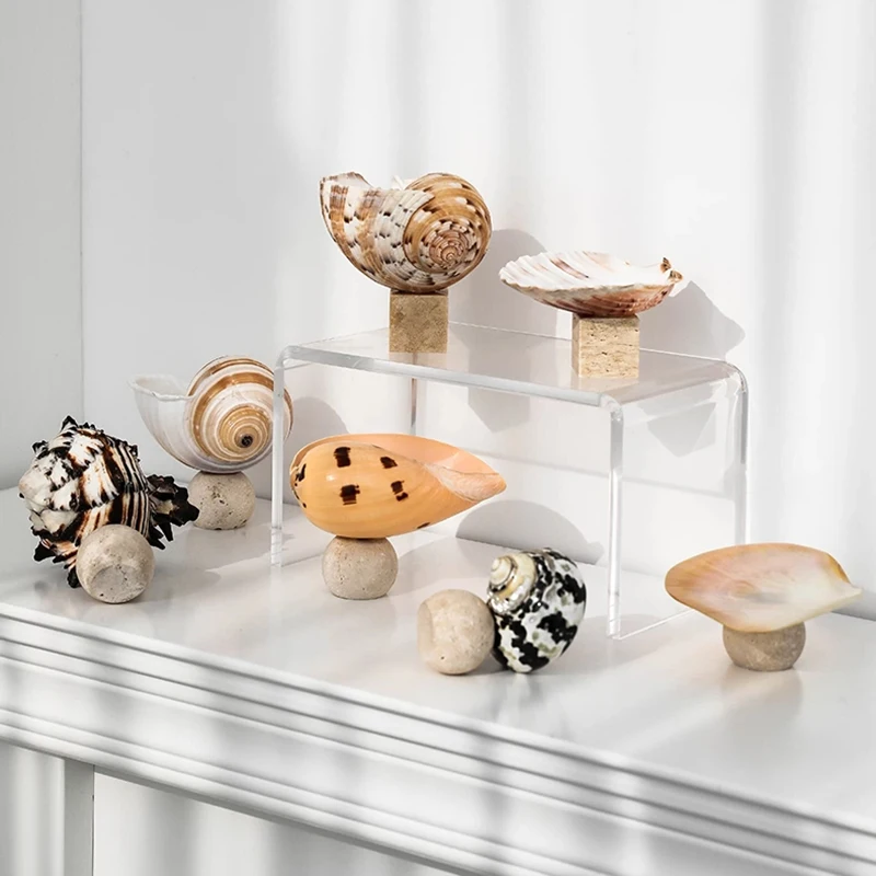 Creative Natural Shell Conch Jewelry Storage Tray Yellow Cave Stone Base Decoration Ring Earring Necklace Container Home Decor