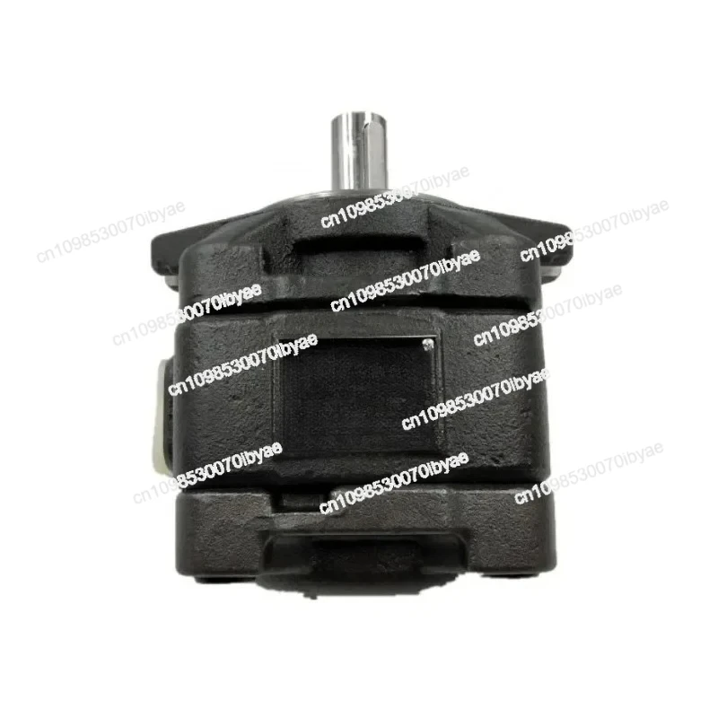 

For CP1-25-P-10R-36 SUNNY CP1-20/25/32/40-P-10R Series Hydraulic Moulding Machine Gear Pump