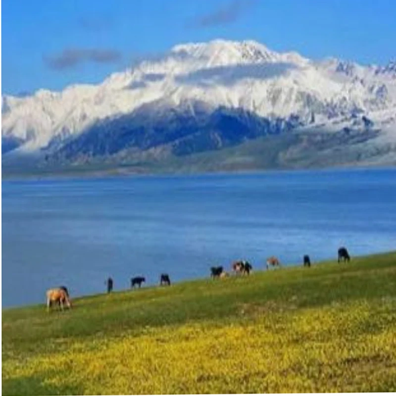 Zestaw ramy FPV Mark4 7 cali 295 mm, ramię 5 mm, kompatybilny z kontrolerami lotu F4/F7, silniki bezszczotkowe serii 28, śmigła do drona wyścigowego RC