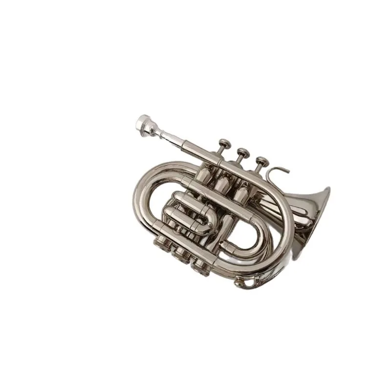 

Pocket trumpet instrument, professional palm trumpet