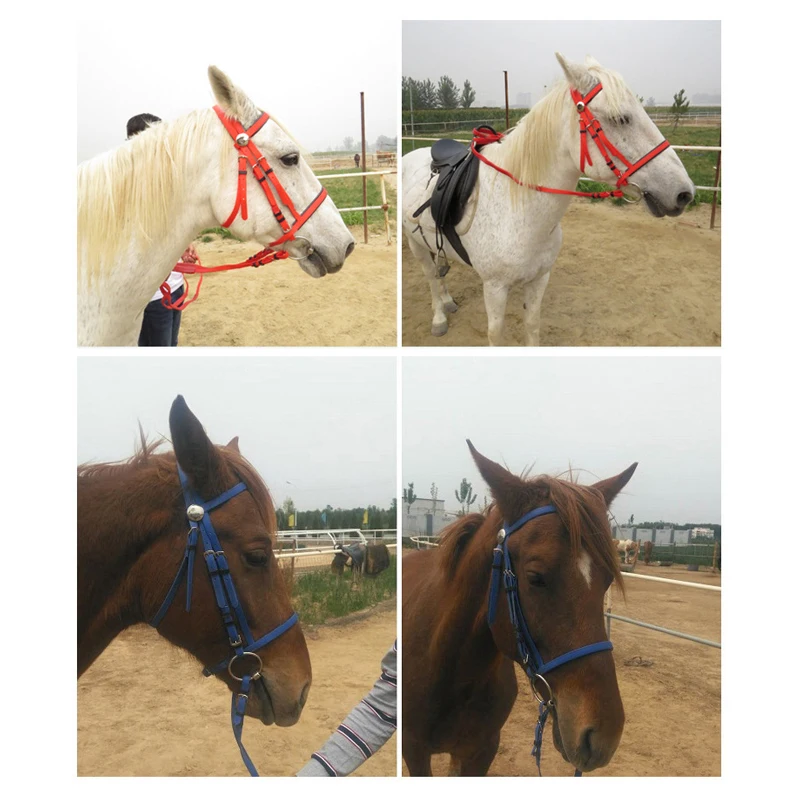 مجموعة معدات الحصان الغربية المتينة لتحمل الفروسية بما في ذلك حامل الرأس باللون الأحمر والأزرق