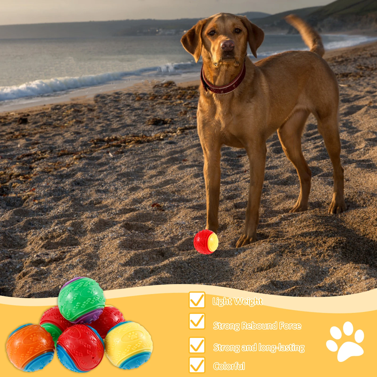 6-Pack Squeaky Dog Chew Toys 6