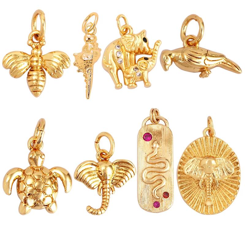 Conch Sea Snail Tur…