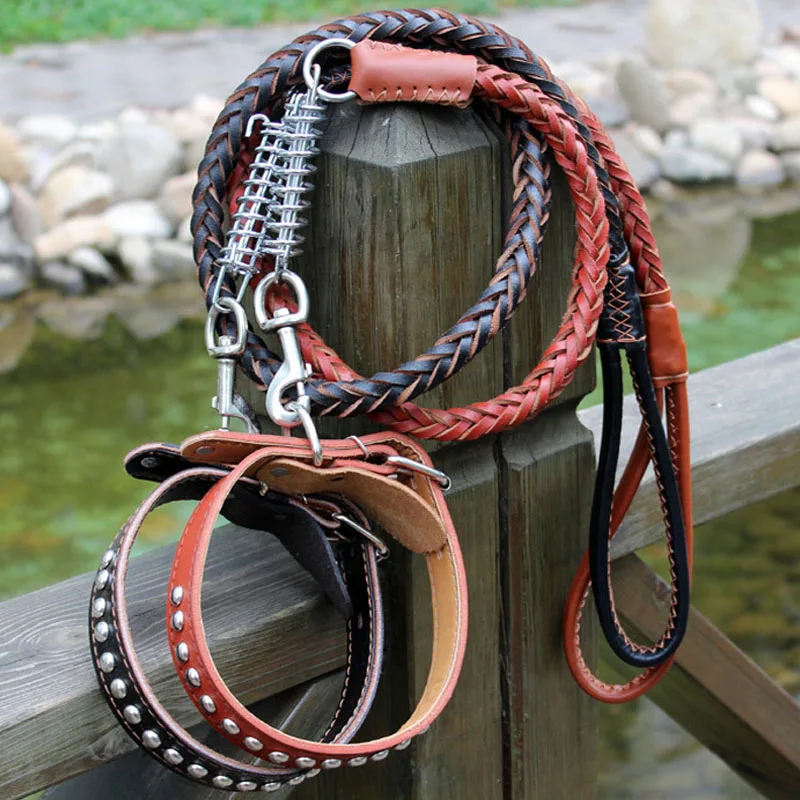 Braided Leather Dog Leash Set 2