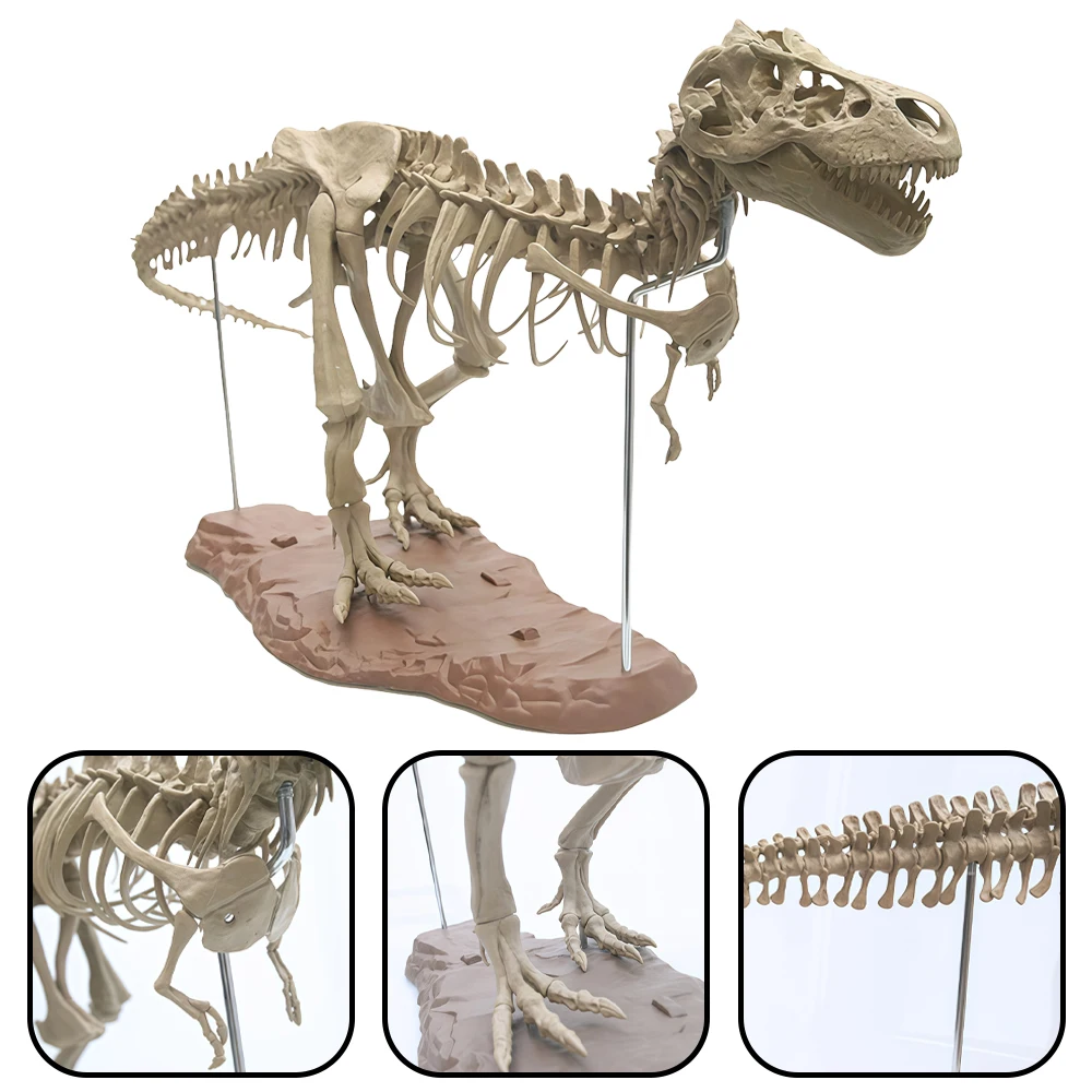 70 cm DIY-Dinosaurier-Skelett-Modellbausatz – zusammengebautes T-Rex-fossiliertes Spielzeug, Jurassic Park-Simulation, perfektes Geschenk für Jungen