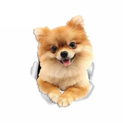 LYKX Dog Personality PVC Decal Pomeranian Waterproof Car Sticker on Motorcycle Laptop Decorative Accessories