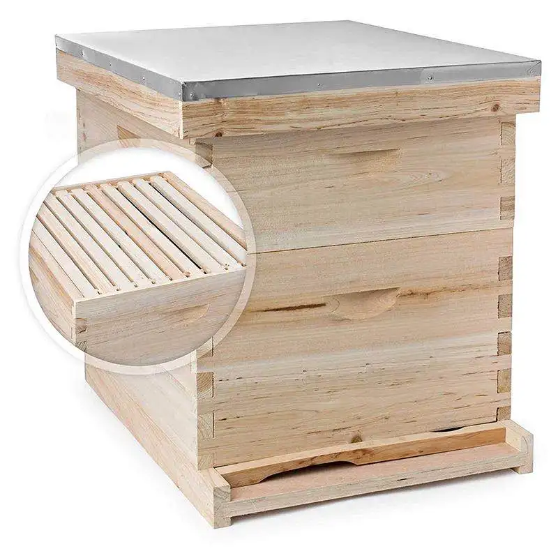 2024 Langstroth 10 Frame Type Wooden Beehives