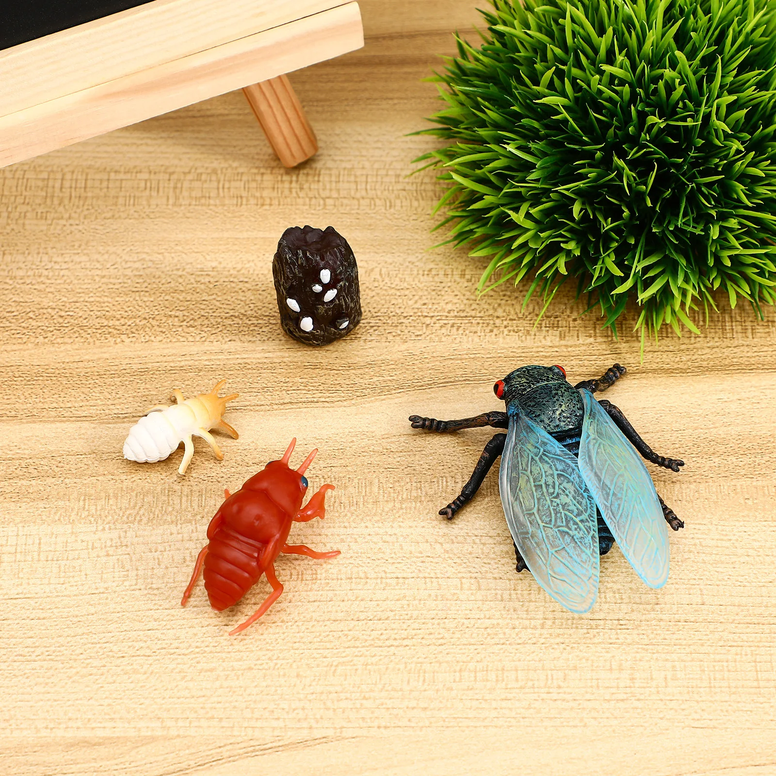 1Set Cicada Life Cycle Simulation Insect Educational Decoration Learning Insect Development Science Awareness Cicada Figurine