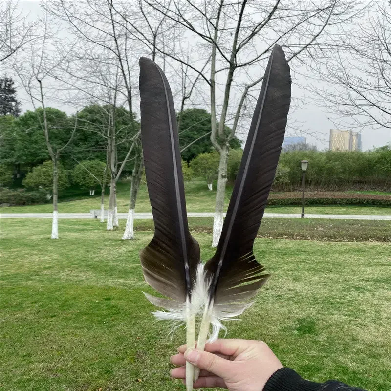 1PC Rare Feather Natural Big Feather Arrow Horse Eagle Tail Hair DIY Exorcism Town House Stage Prop Decoration