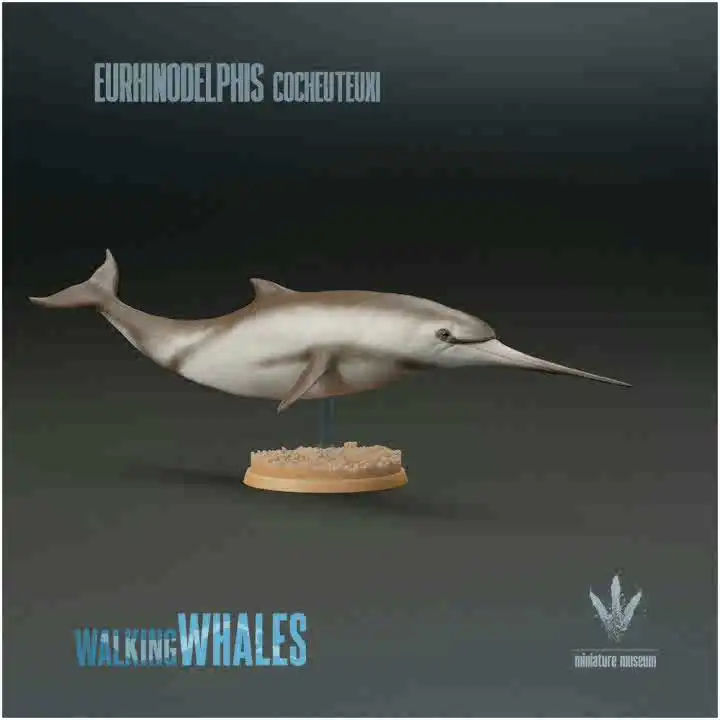 1/35 7cm Ancient Cetaceans Model Toy Ancient Extinct Life Dinosaur Model Gk Customize Eurhinodelphis Lagenorhynchus Australis