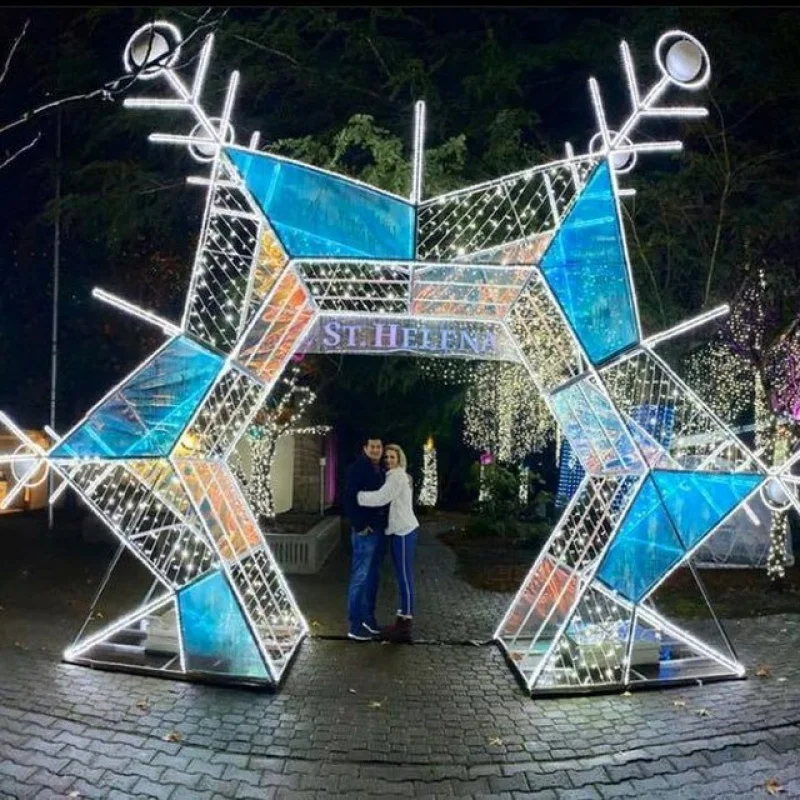 

Custom. Outdoor Waterproof Festival Park Decoration Led 3D Street Motif Metal Arch Light Motif Light