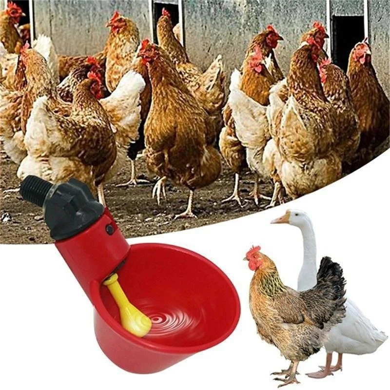 5/10/20PCS Chicken Drinking Cup Automatic Drinker Chicken Feeder Plastic Poultry Waterer Drinking Water Feeder Chicks Duck Goose