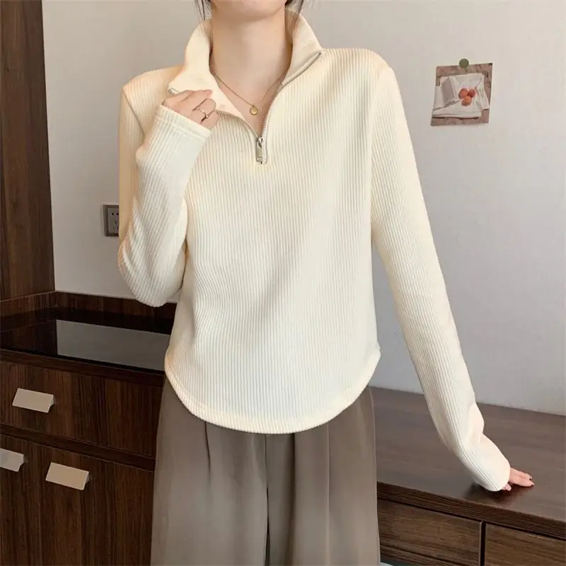 

Women's Turtleneck New Autumn Winter Sweater Base Warmth Thick Loose Long-sleeved Top