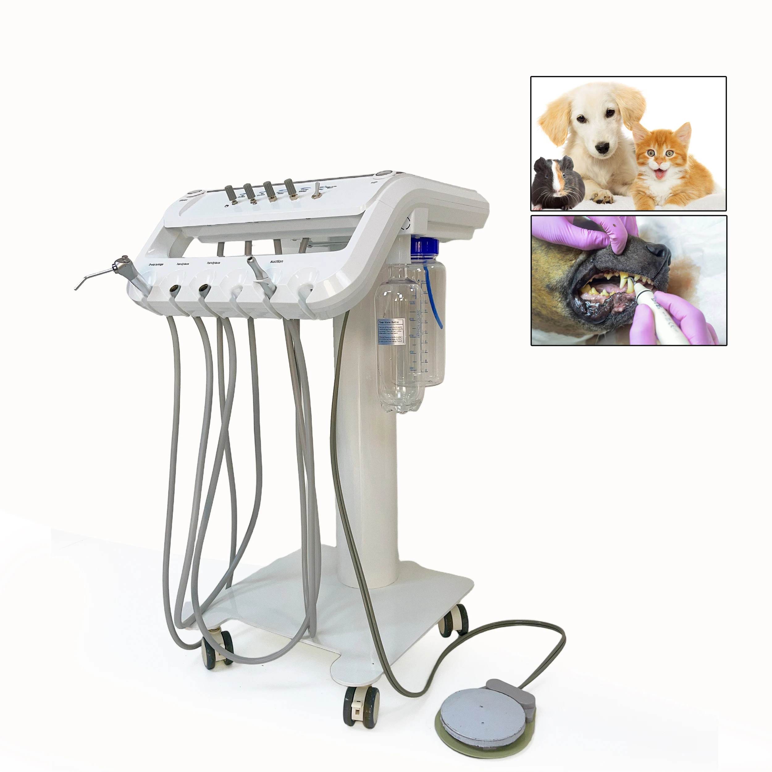 

Veterinary Dental Unit Animals Medical Mobile Teeth Cleaning Treatment Pet Portable Unit Veterinary Instrument Dental For Clinic