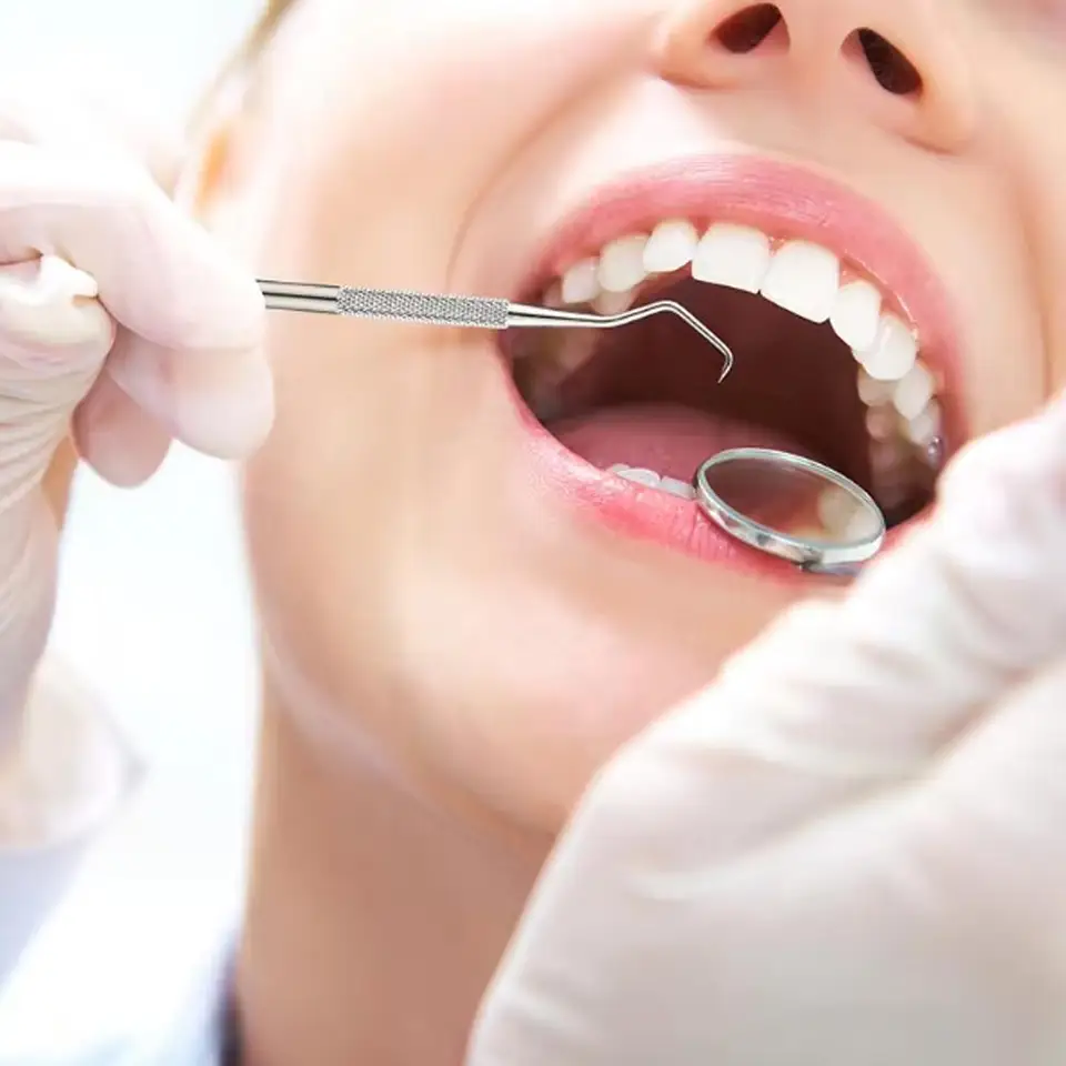 Kit de Herramientas Dentales de Acero Inoxidable para Eliminar la Placa, Cuidado Bucal con Limpiador de Placa, Raspador de Sarro, Limpiador de Dientes y Lengua para la Familia 5