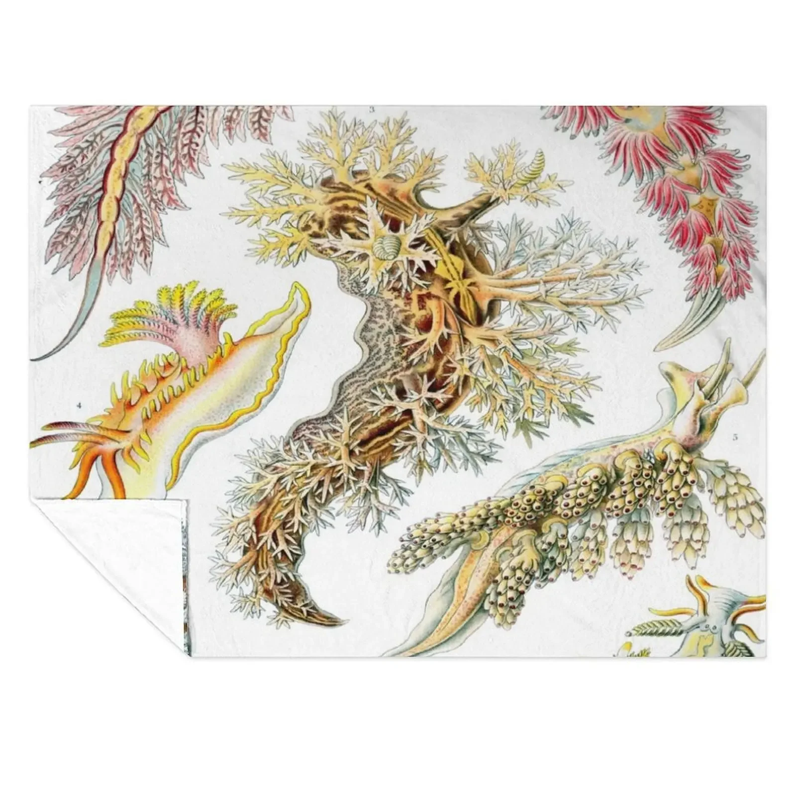 

Haeckel Nudibranchia Drawing Throw Blanket decorative Travel Decorative Beds Sofa Blankets