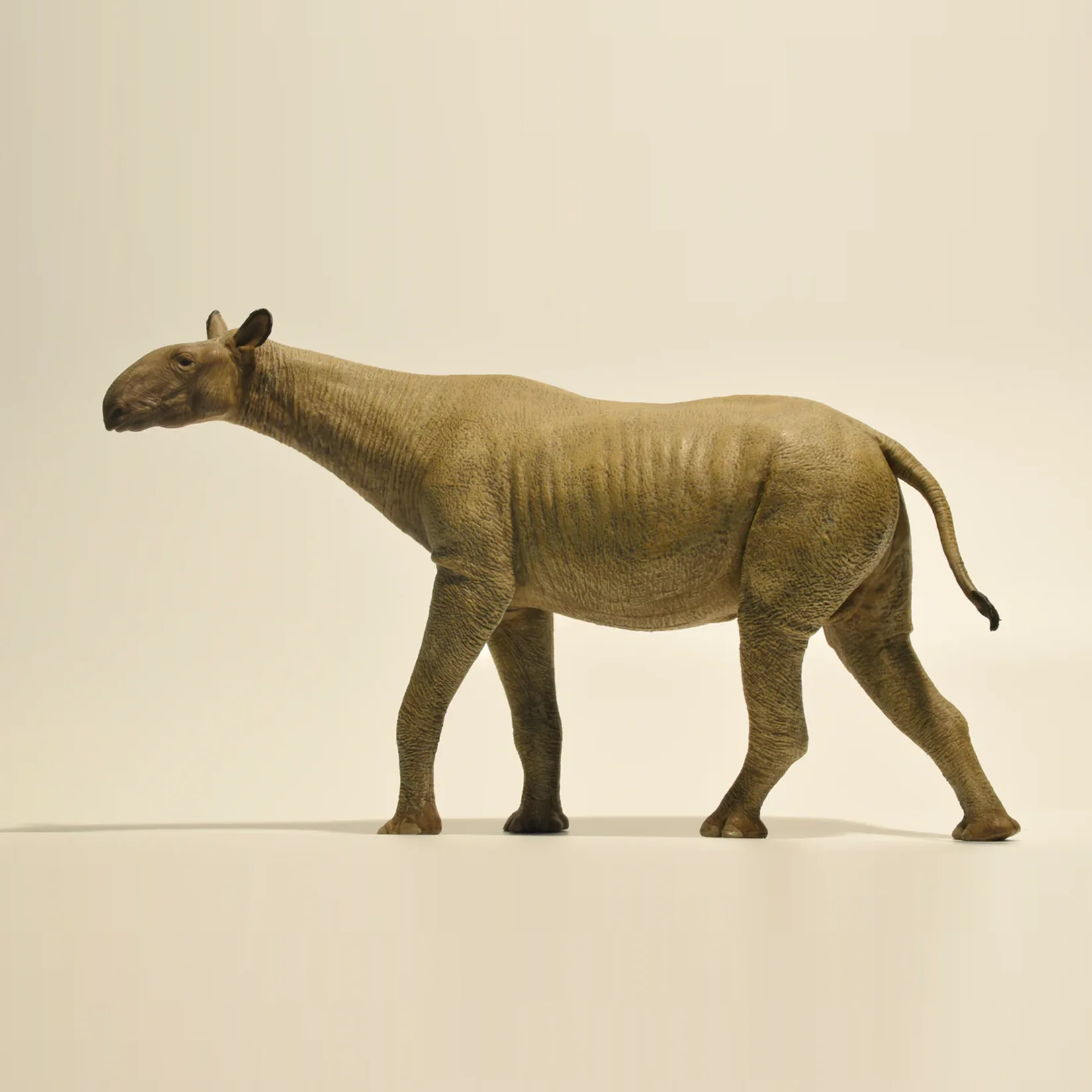 Eofauna 1:35 Scale Paraceratherium Grangeri Figure Paraceratheriidae Prehistoric Giant Rhino Animal Collection Scene Decoration