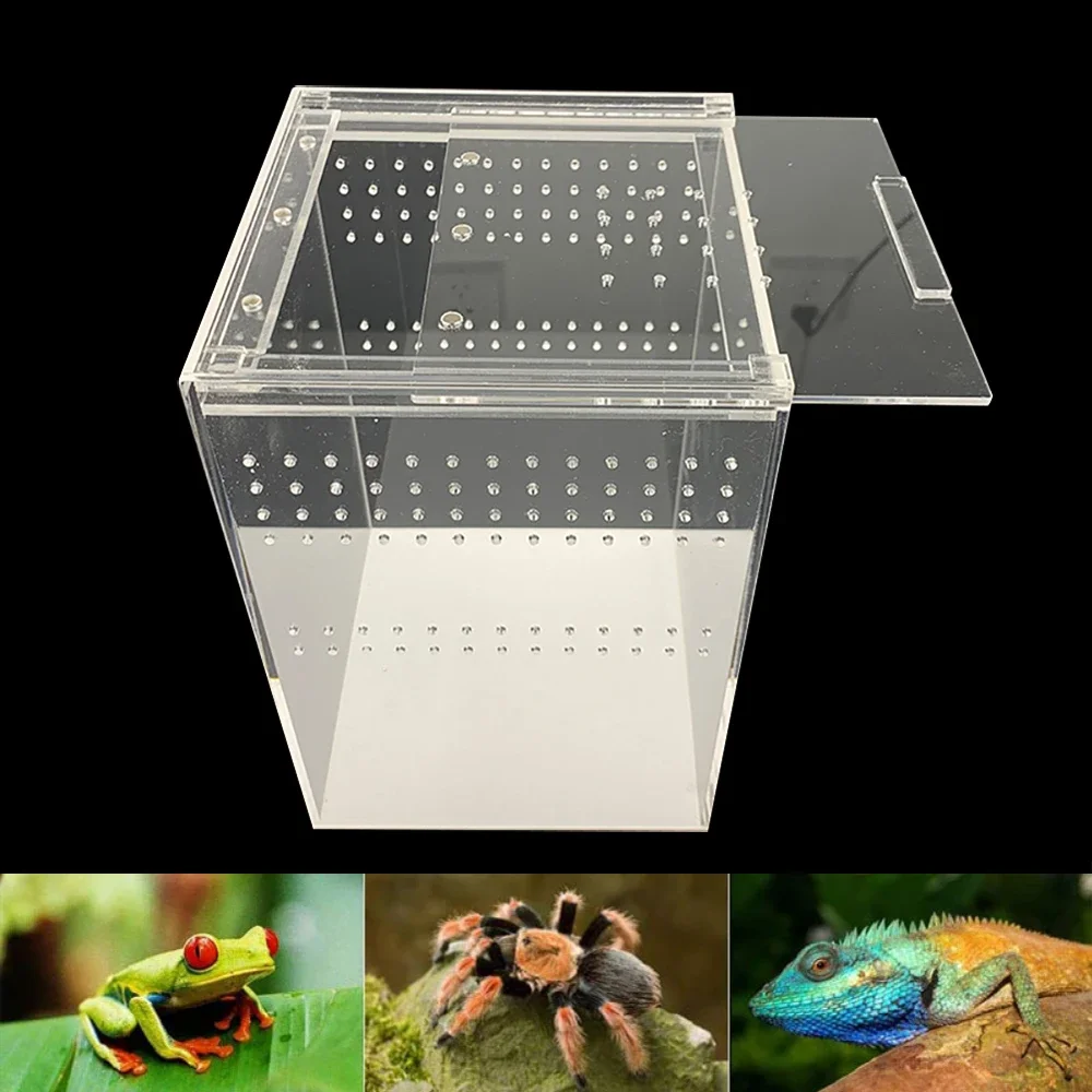 Transparent Acrylic Reptiles Breeding Box Spider Lizard Amphibian Terrarium Leak-proof Pets Habitat Arboreal Tarantula Enclosure