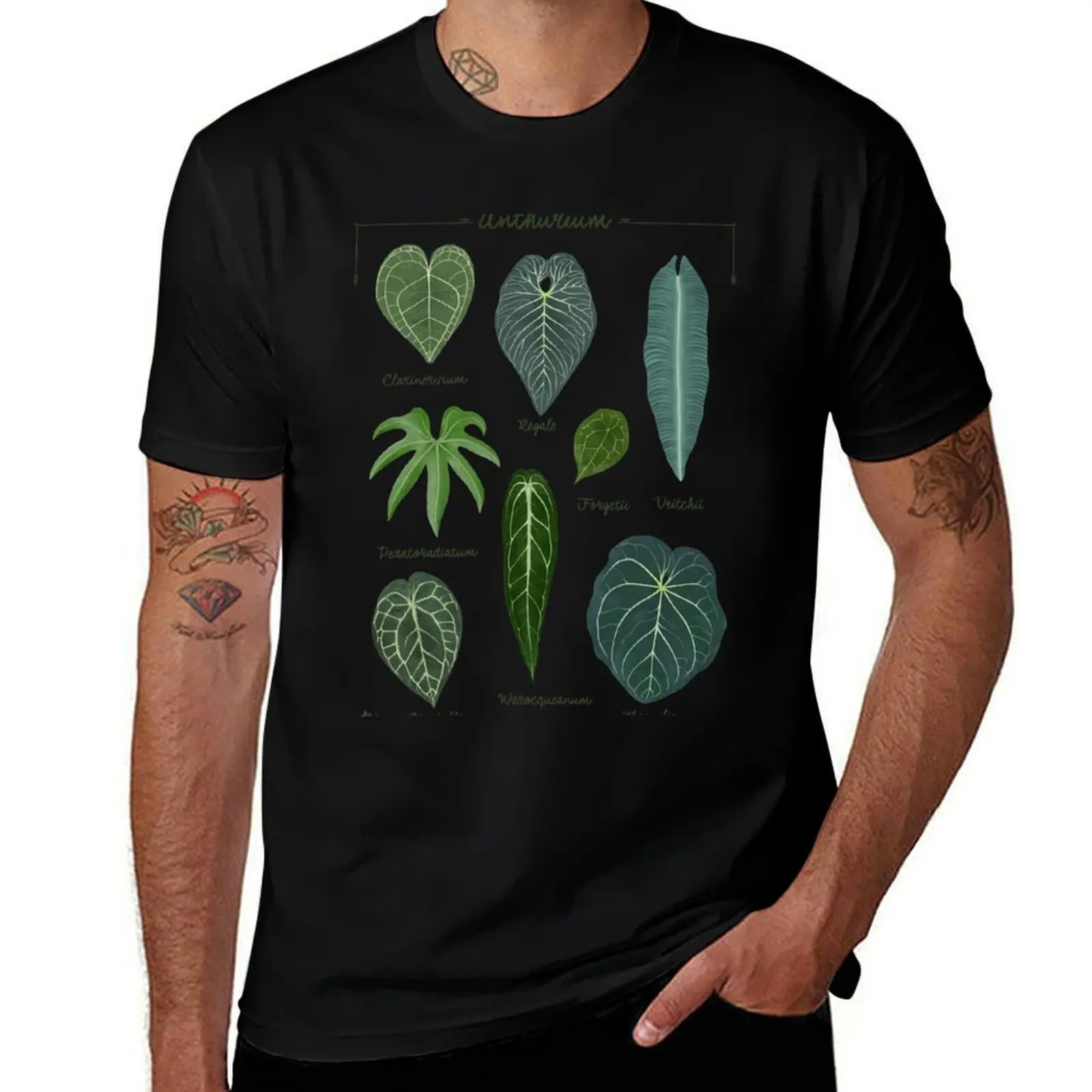 

Anthurium leaves species chart botanical illustration T-Shirt man t shirt heavy cotton man t shirts for men casual T-Shirt