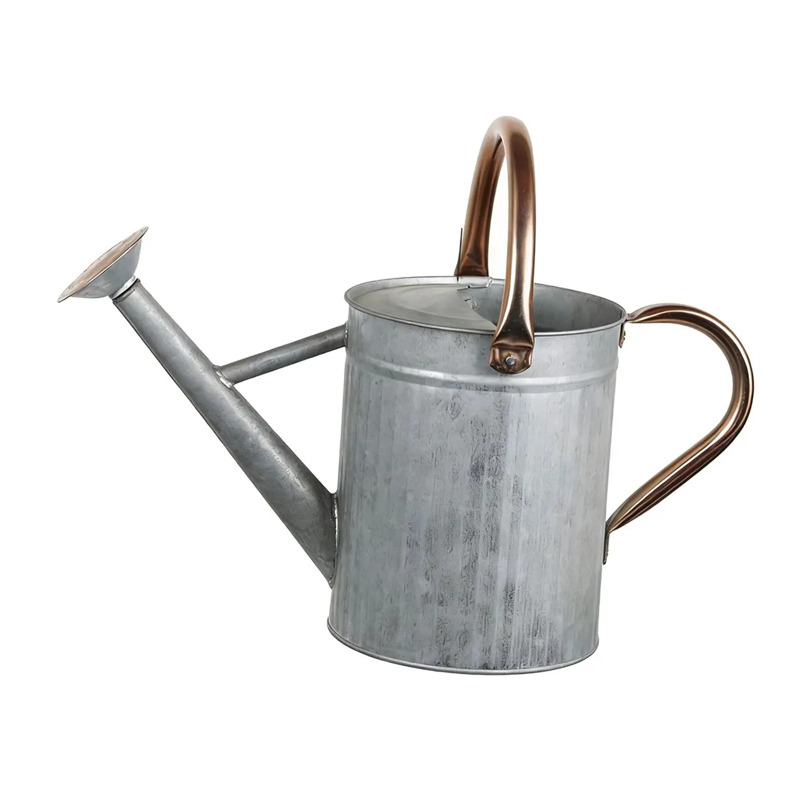 

Декоративная железная лейка с портативной ручкой, садовый инструмент для полива растений во дворе, на террасе и в помещении