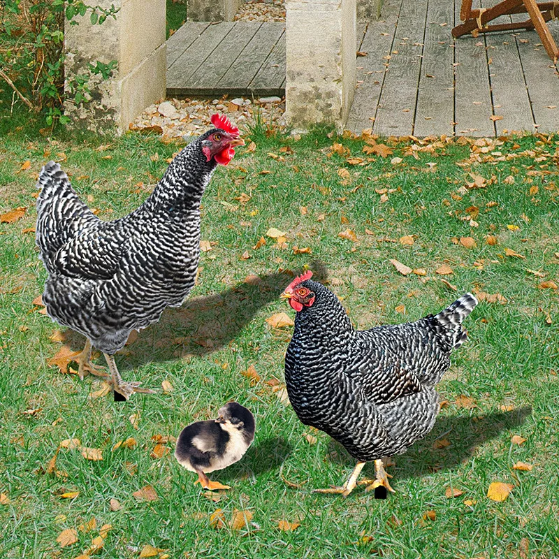 

3PCS Simulation Chicken Stake Garden Hen Realistic Acrylic Animal Stake Yard Sign For Lawn Farm Landscape Backyard Ornaments