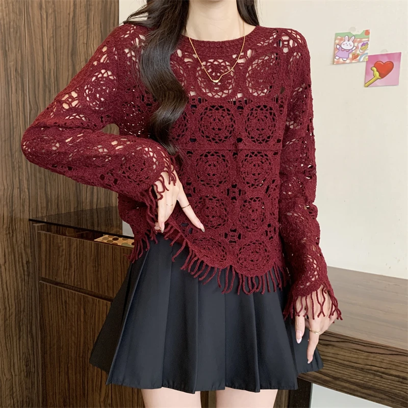 Sheer Crochet Top Embroidery Lace Blouse Long Sleeve Open-knit Crop Tops for Women Spring Summer 2024 Boho Vacation Outfit