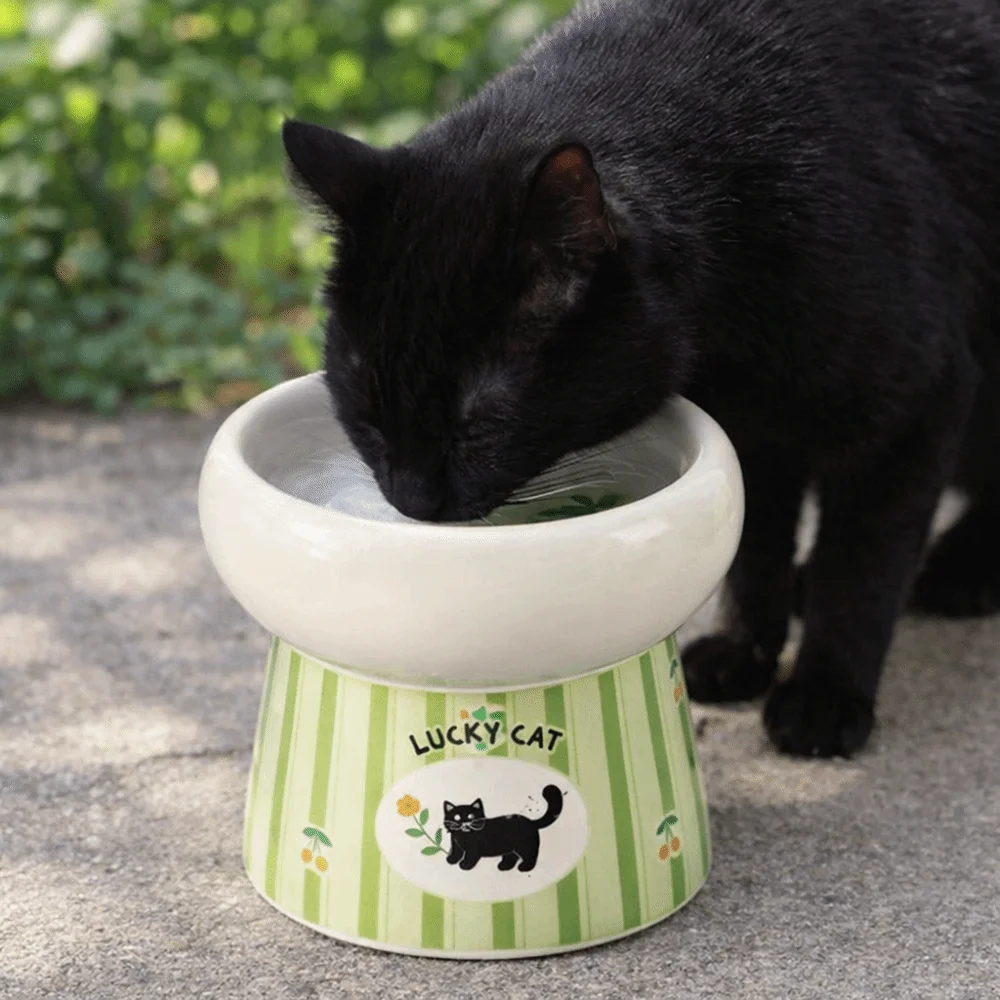 

Керамическая миска для кошек с высокими ножками, противоскользящая основа с широким горлышком, кормушка для корма для собак, защита от опрокидывания, предотвращающая разливание, блюдо для корма для воды для домашних животных, многофункциональная