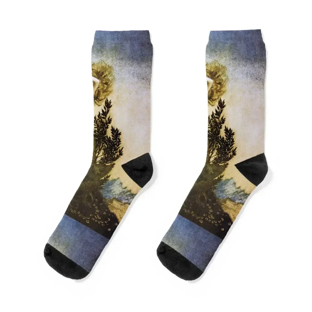 

Daphne into a tree - Comus by Arthur Rackham Socks christmas gift winter gifts hiking Men's Socks Luxury Women's