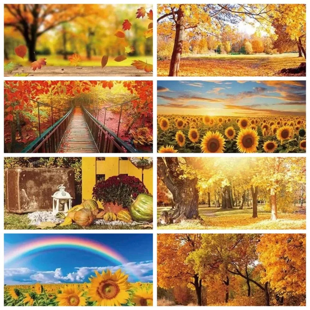 

Autumn Maple Forest Road Park Sunflower Photography Backdrop Cloth, Adult Birthday Party Decoration Photography Studio Backdrop