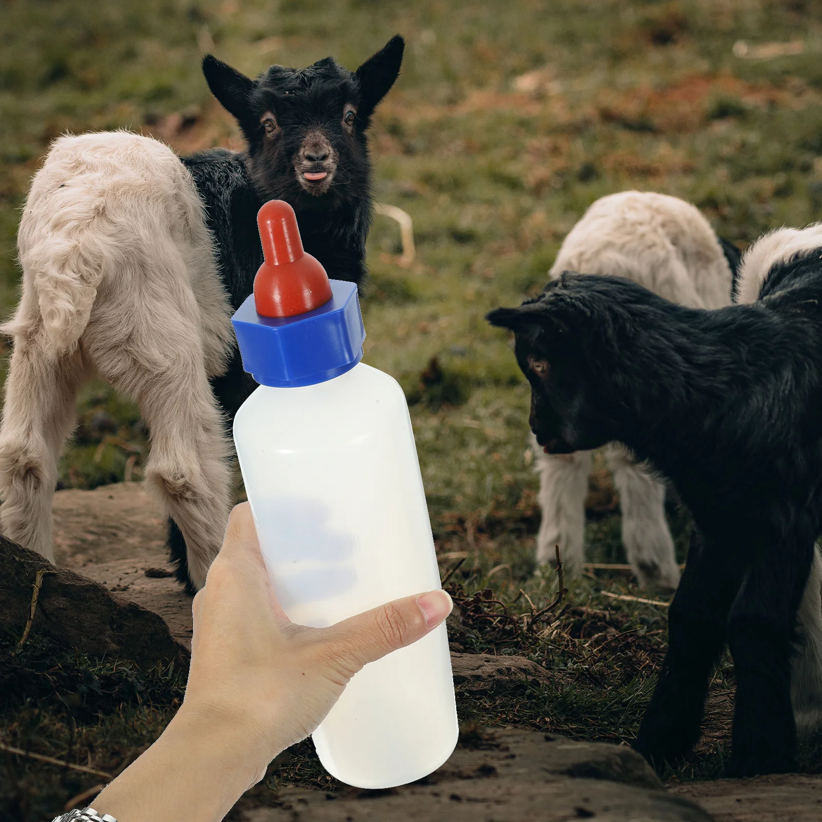 

Toddler Water Bottle Animal Feeding Lamb Milk Goat Pet Container Feeders Silica Gel Child Nursing
