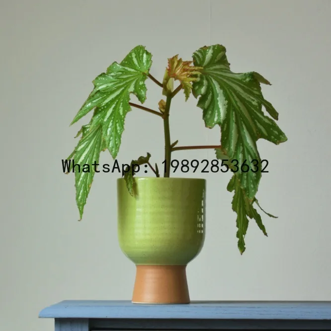 LYY Vase Export Nordic Style Ceramic Flower Vase Vintage Ice Crackle Pattern Phalaenopsis Orchid Pot Large
