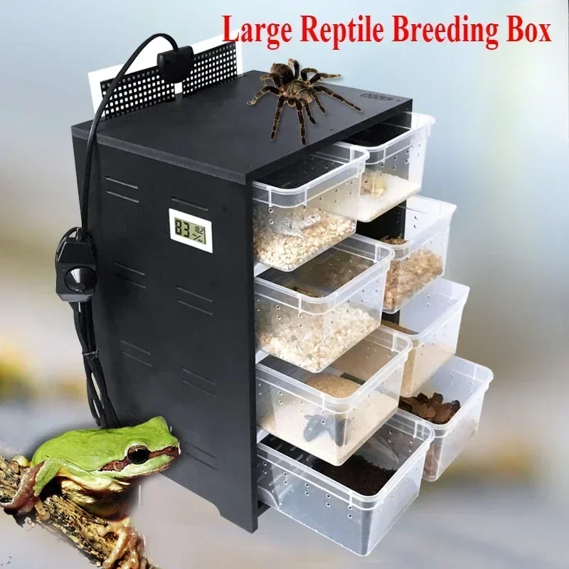 Pet Reptiles Acrylic Feeding Box Insect Spider Turtle Cage with Heating Pad and Thermometer for Amphibian 4 Layers Breeding Tank