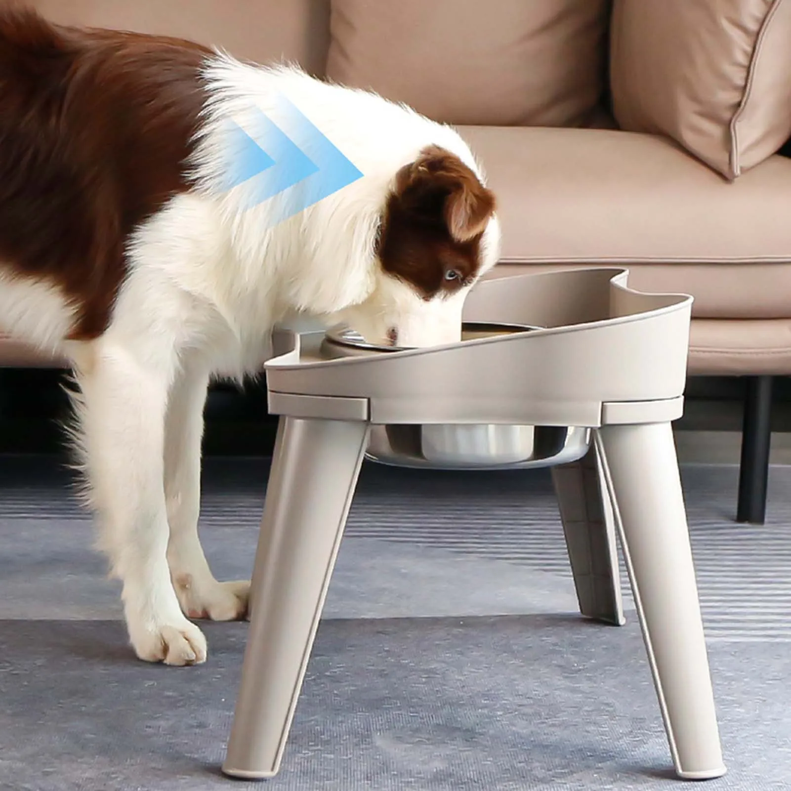 Stainless Steel Elevated Dog Bowl Easy to Use and Store Feeder Eating Bowls Suitable for Promote Healthy Digestion