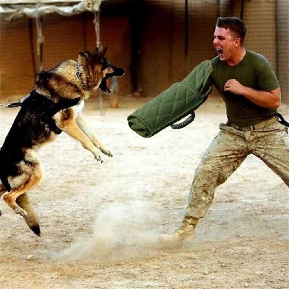 Imagem -03 - Luva Prática para Cães Treinamento Interativo Equipamento de Agilidade Puxão Forte para Cães Médios e Grandes Luva de Mão Proteção de Braço