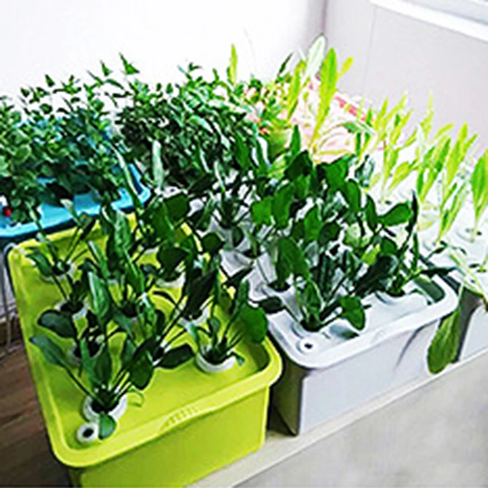 

Celery Mesh pot Outdoor Soilless cultivation Cucumbers Grow Leafy Net Cup Plant Reusable Sponge Vegetables Basket