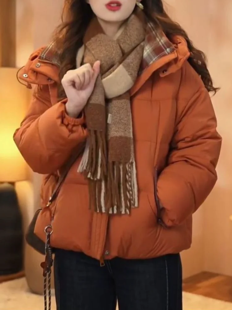 

Женская утепленная куртка-пуховик в корейском стиле, свободного кроя, с длинными рукавами, на молнии, с клетчатыми вставками и хлопковым наполнителем