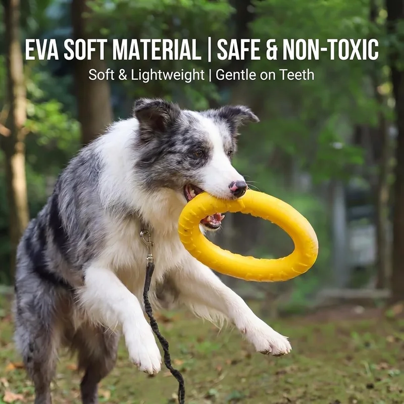 Hundespielzeug, fliegende Frisbees aus EVA, Hundetrainingsring, bissfeste Spielzeuge für Hunde, schwimmender Welpen-Bissring, interaktives Spielzeug – Detail 2