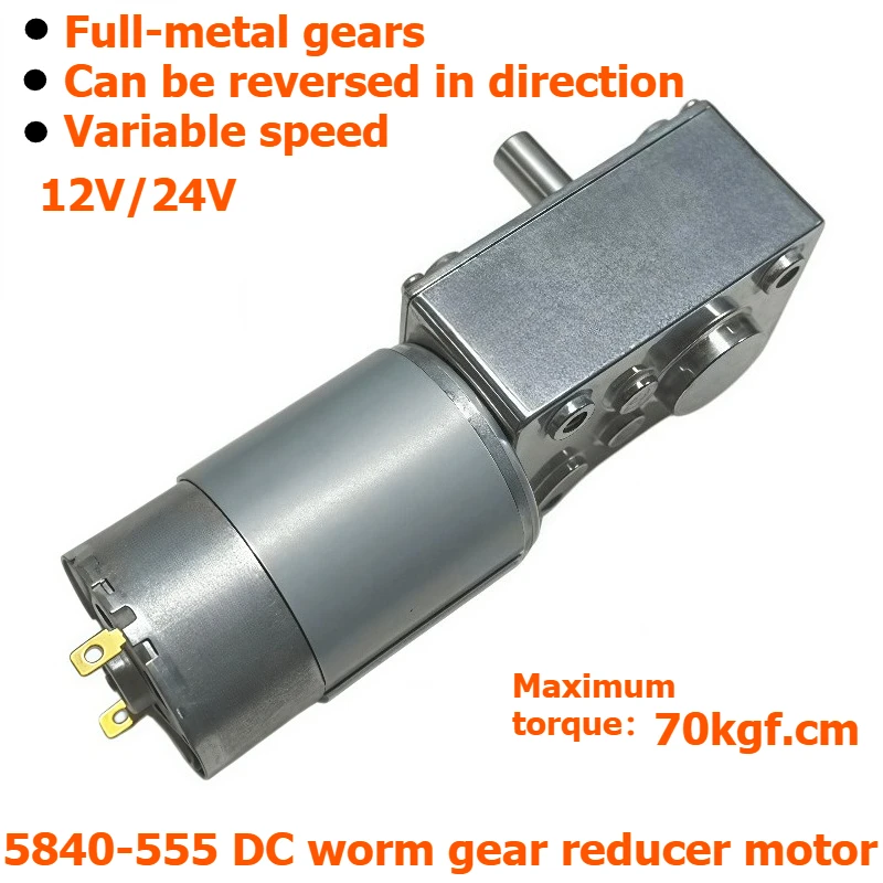 5840-555 Miniature DC Reduction Motor with Large Torque Turbine Worm Gear and Adjustable Power Supply