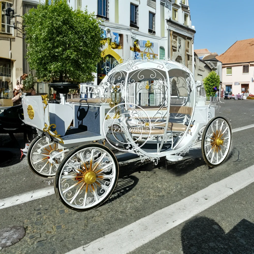 Hot Selling English Style Metal Pumpkin Carriage Electric Vehicle Horse Carriage Carriages For Sale