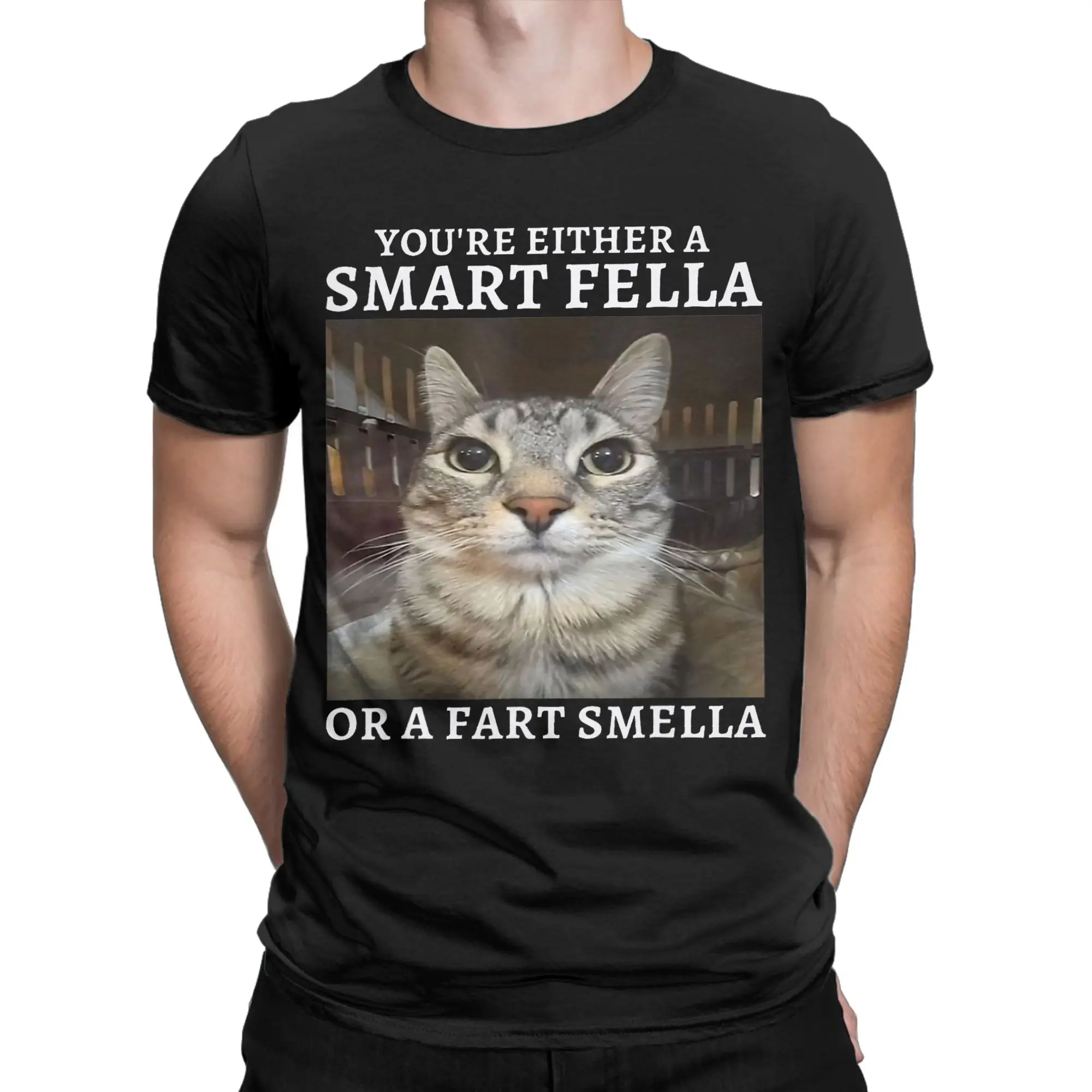Vintage T Shirt You're Either a Smart Fella or a Fart Smella Funny Cat Meme Popular T-Shirts for Man Short Sleeve Clothing