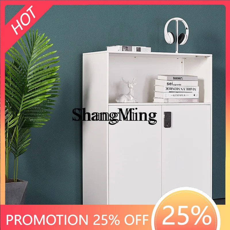 

ZYY Exquisite Disassembly Password File Locker Office Partition Side Cabinet Wall-Mounted Black and White Combination with Lock